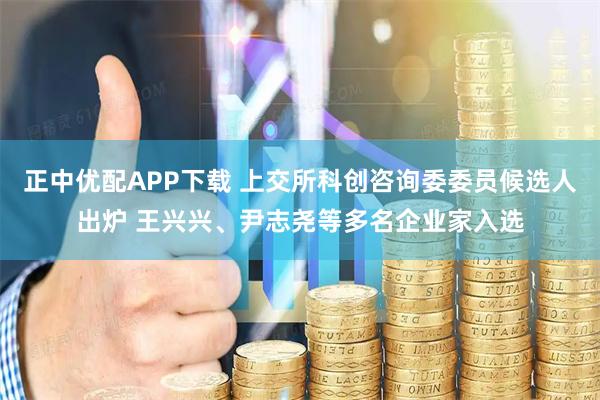正中优配APP下载 上交所科创咨询委委员候选人出炉 王兴兴、尹志尧等多名企业家入选