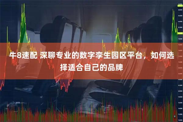 牛8速配 深聊专业的数字孪生园区平台，如何选择适合自己的品牌