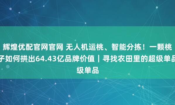 辉煌优配官网官网 无人机运桃、智能分拣！一颗桃子如何拼出64.43亿品牌价值｜寻找农田里的超级单品